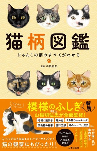 ❀ゆぴ　虹猫本舗 にゃんこ図鑑 オシネコ❀ ❀ゆぴ様 専用 虹猫本舗 にゃんこ図鑑 オシネコ❀