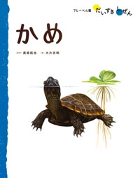 フレーベル館だいすきしぜん（みずのいきもの） かめ | 長坂