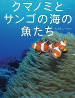 ちしきのぽけっと 5 クマノミとサンゴの海の魚たち 絵本ナビ 大方 洋二 大方 洋二 みんなの声 通販 ちしきのぽけっと 5 クマノミとサンゴの海の魚たち 絵本ナビ 大方 洋二 大方 洋二 みんなの声 通販