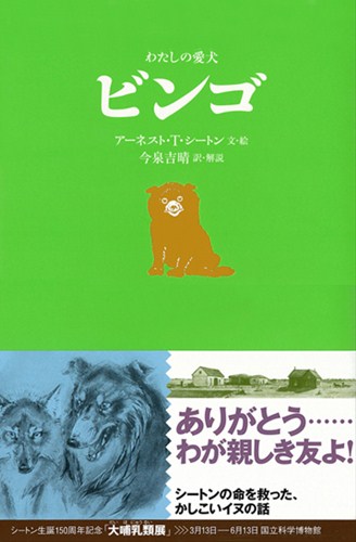 シートン動物記 わたしの愛犬ビンゴ 数ページよめる 絵本ナビ アーネスト T シートン アーネスト T シートン 今泉 吉晴 今泉 吉晴 みんなの声 通販