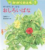 かがくのとも　草花あそび　おしろいばな　ほおずき　しろつめくさ　福音館 かがくのとも 草花あそび おしろいばな ほおずき しろつめくさ