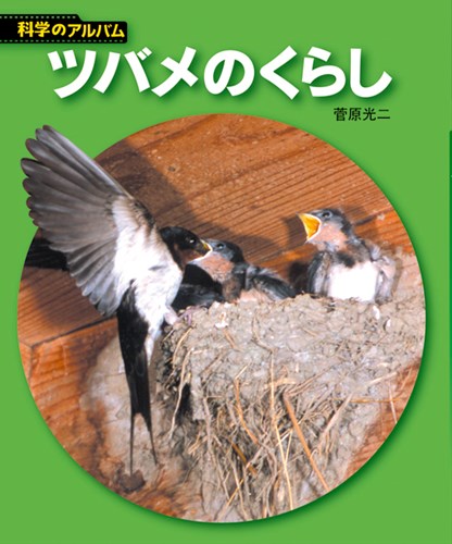 ツバメのくらし 絵本ナビ 菅原 光二 みんなの声 通販 ツバメのくらし 絵本ナビ 菅原 光二 みんなの声 通販