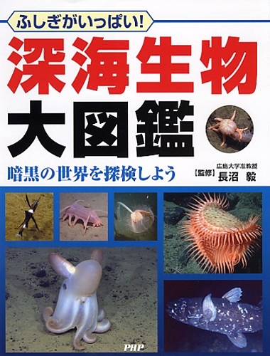 深海生物大図鑑 ふしぎがいっぱい 絵本ナビ 長沼 毅 みんなの声 通販