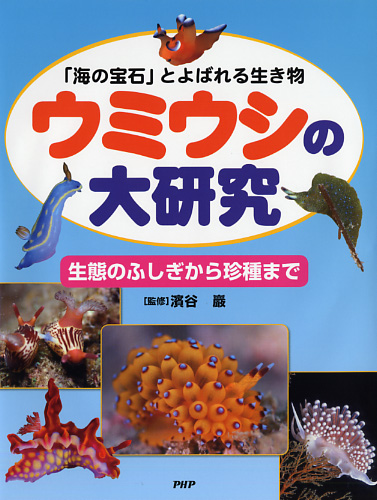 ウミウシの大研究 生態のふしぎから珍種まで 絵本ナビ 濱谷 巖 みんなの声 通販