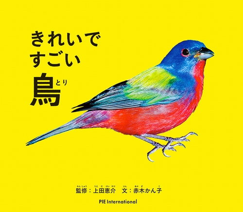 きれいですごい鳥 絵本ナビ 上田 恵介 赤木 かん子 みんなの声 通販