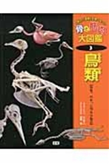 骨と筋肉大図鑑 「体」と「運動」を調べよう！ １/学研教育出版（大型本） Amazon.co.jp: 骨と筋肉大図鑑: 「体」と「運動」を調べよう! (2