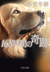 168Ԃ̊
