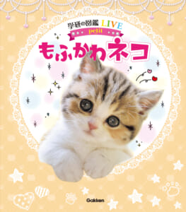 ySlRDKɂ!z킢⋉IH@́gP܂邲ƃlRh} ww̐}LIVE petit ӂ lRx (Gakken)