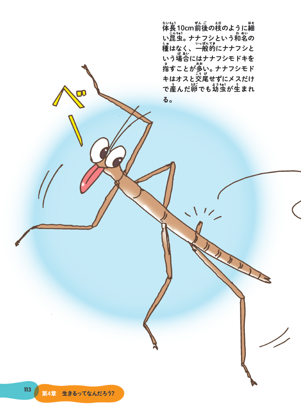 No.241 古書 洋書 児童書 植物·昆虫·動物·樹木·鳥·蝶·魚 図鑑 自然 No.241 古書 洋書 児童書 植物·昆虫·動物·樹木·鳥·蝶·魚 図鑑 自然