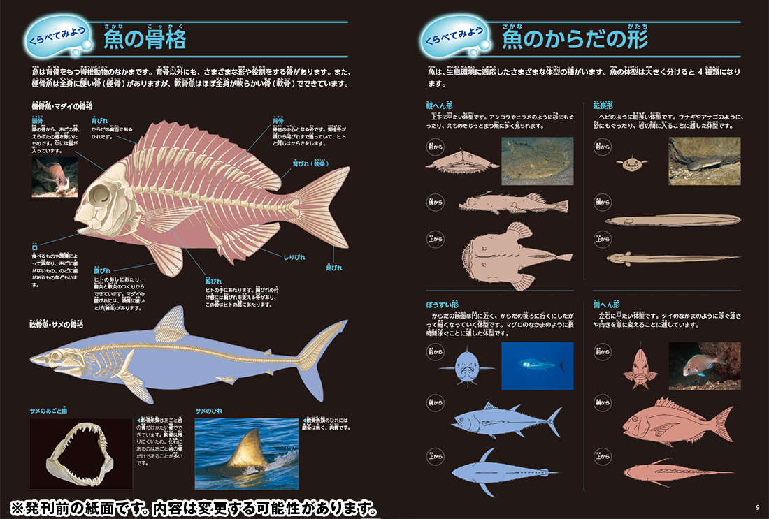 図鑑 学研の図鑑 LIVE 昆虫 鳥 宇宙 魚 動物 植物 星 星座 セット