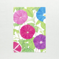 �r��^�I �N���A�t�@�C�� B5 ���������i�G�{�i�r�I���W�i���O�b�Y�j