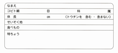 kobito_blog1.jpg