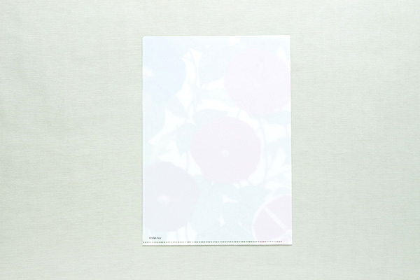 �r��^�I �N���A�t�@�C�� B5 ���������i�G�{�i�r�I���W�i���O�b�Y�j�̏��i�摜2