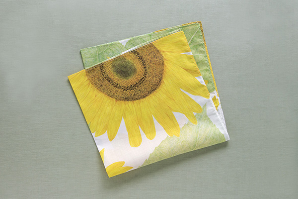 r^I nJ` Ђ܂iG{irIWiObYj̏i摜2