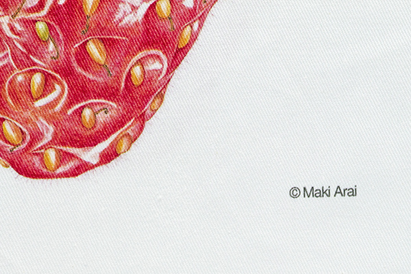 �r��^�I �g�[�g�o�b�O �������i�G�{�i�r�I���W�i���O�b�Y�j�̏��i�摜3