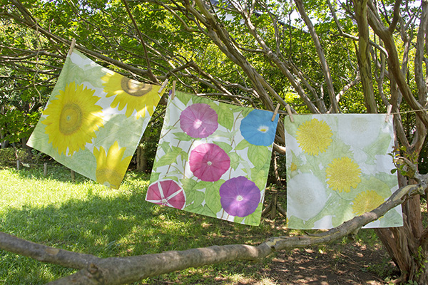 r^I nJ` Ђ܂iG{irIWiObYj̏i摜9