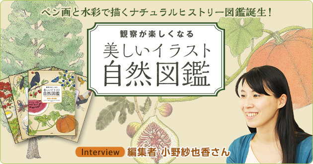 ペン画と水彩で描くナチュラルヒストリー図鑑誕生！観察が楽しくなる