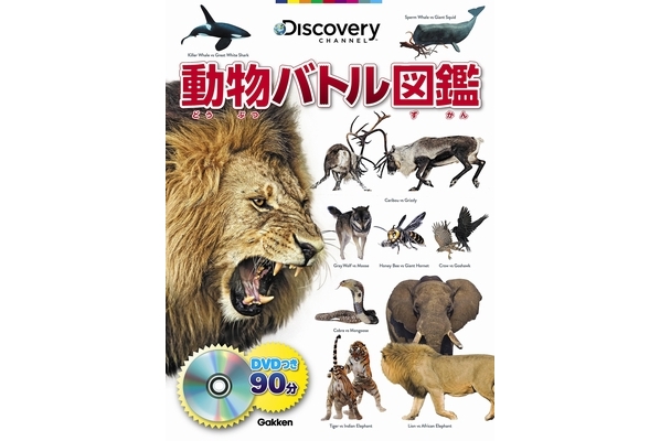 �ynews�z����90���f�����X�S�C�I�ŋ����������̃h���̓o�g�����}�ӂɁI�I