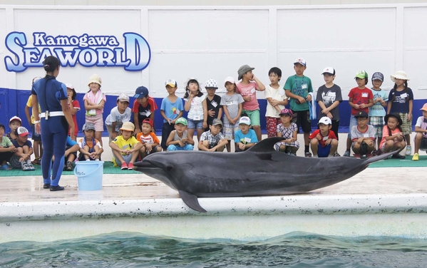 �ynews�z�C���J��V���`�ƐG�ꍇ���I����V�[���[���h�u�T�}�[�X�N�[���v�Q���ҕ�W�I�I