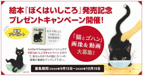 連載】9月の新刊＆オススメ絵本～ねこの絵本編～｜注目の新刊 